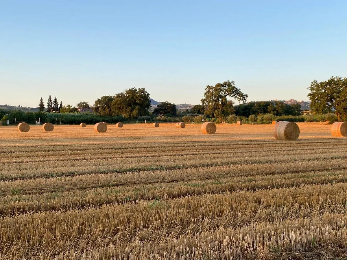 Ca Baruffa B&B SantʼArcangelo di Romagna