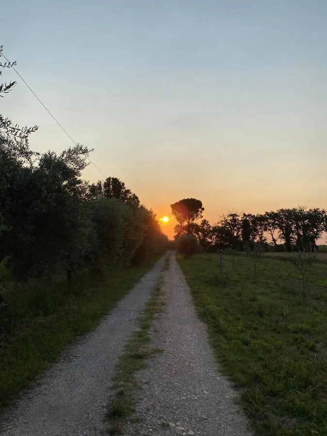 Ca Baruffa B&B SantʼArcangelo di Romagna 0*,